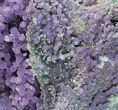 Sparkling, Purple, Botryoidal Grape Agate - Top Quality #79137-4